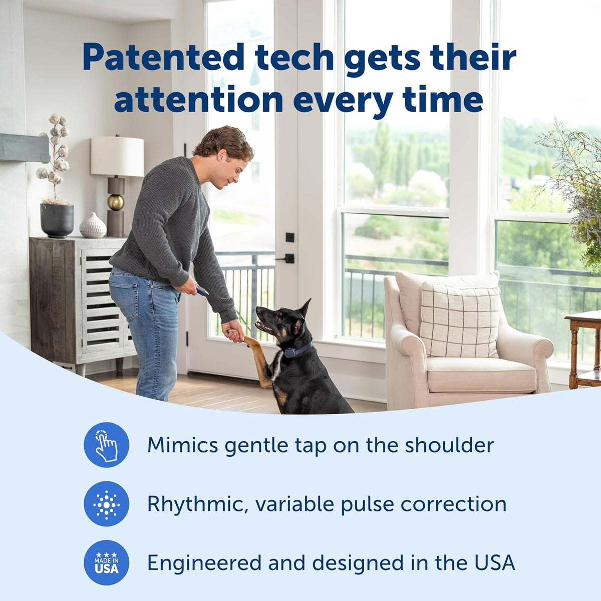 PetSafe Basic Dog Trainer with Remote, Tone, Vibration & 8 Static Levels, 300 ft Range, Waterproof