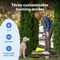 PetSafe Basic Dog Trainer with Remote, Tone, Vibration & 8 Static Levels, 300 ft Range, Waterproof