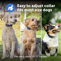 PetSafe Basic Dog Trainer with Remote, Tone, Vibration & 8 Static Levels, 300 ft Range, Waterproof