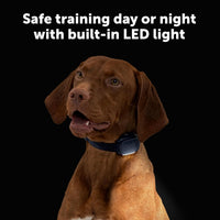 PetSafe Core Dog Trainer with Remote, Tone, Vibration & 15 Static Levels, Add-A-Dog Ready, Waterproof