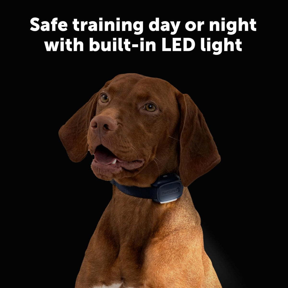 PetSafe Core Dog Trainer with Remote, Tone, Vibration & 15 Static Levels, Add-A-Dog Ready, Waterproof