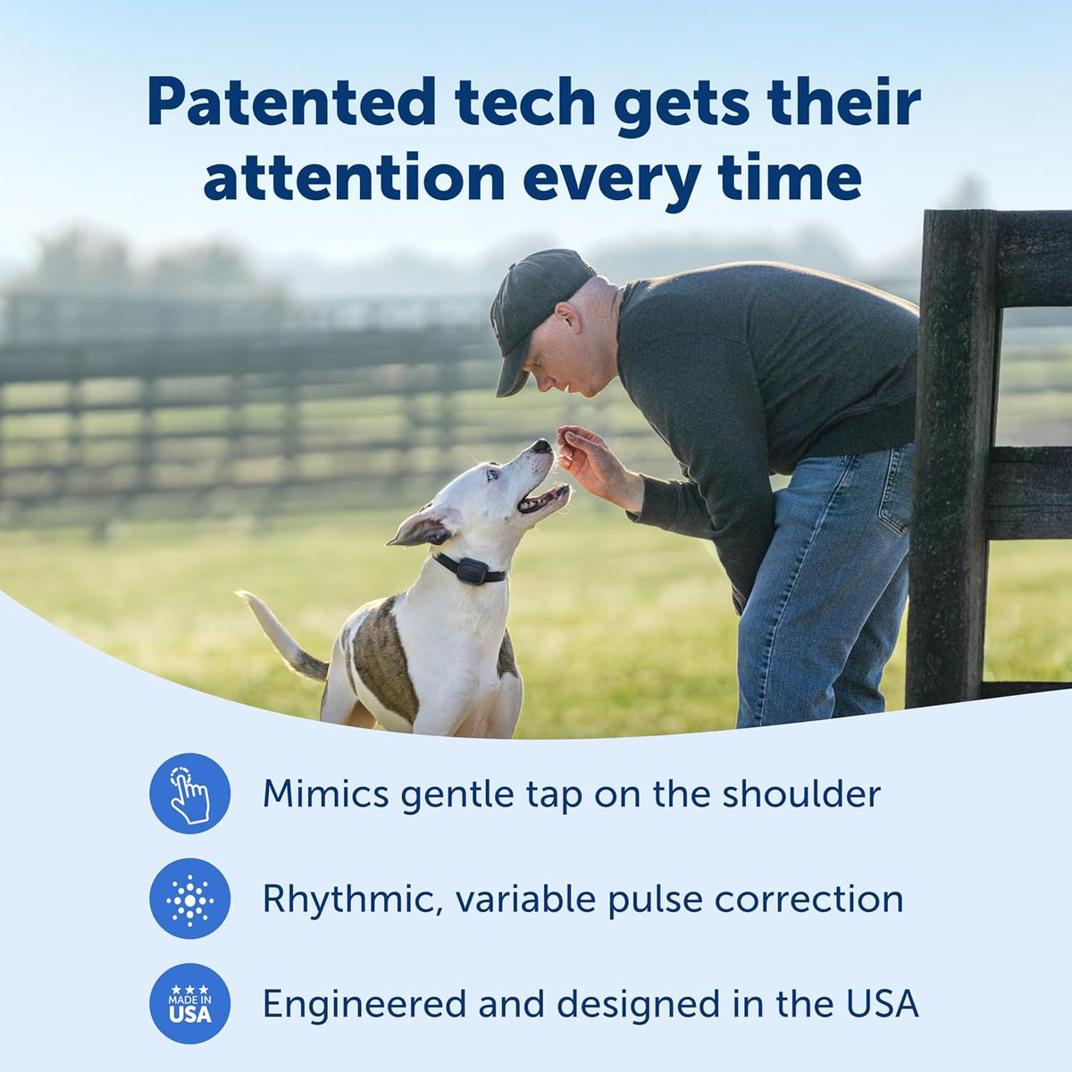PetSafe Core Dog Trainer with Remote, Tone, Vibration & 15 Static Levels, Add-A-Dog Ready, Waterproof