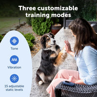 PetSafe Core Dog Trainer with Remote, Tone, Vibration & 15 Static Levels, Add-A-Dog Ready, Waterproof