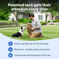 PetSafe Pro Dog Trainer with Remote, 1000 ft Range, Tone, Vibration & 19 Static Levels, Waterproof
