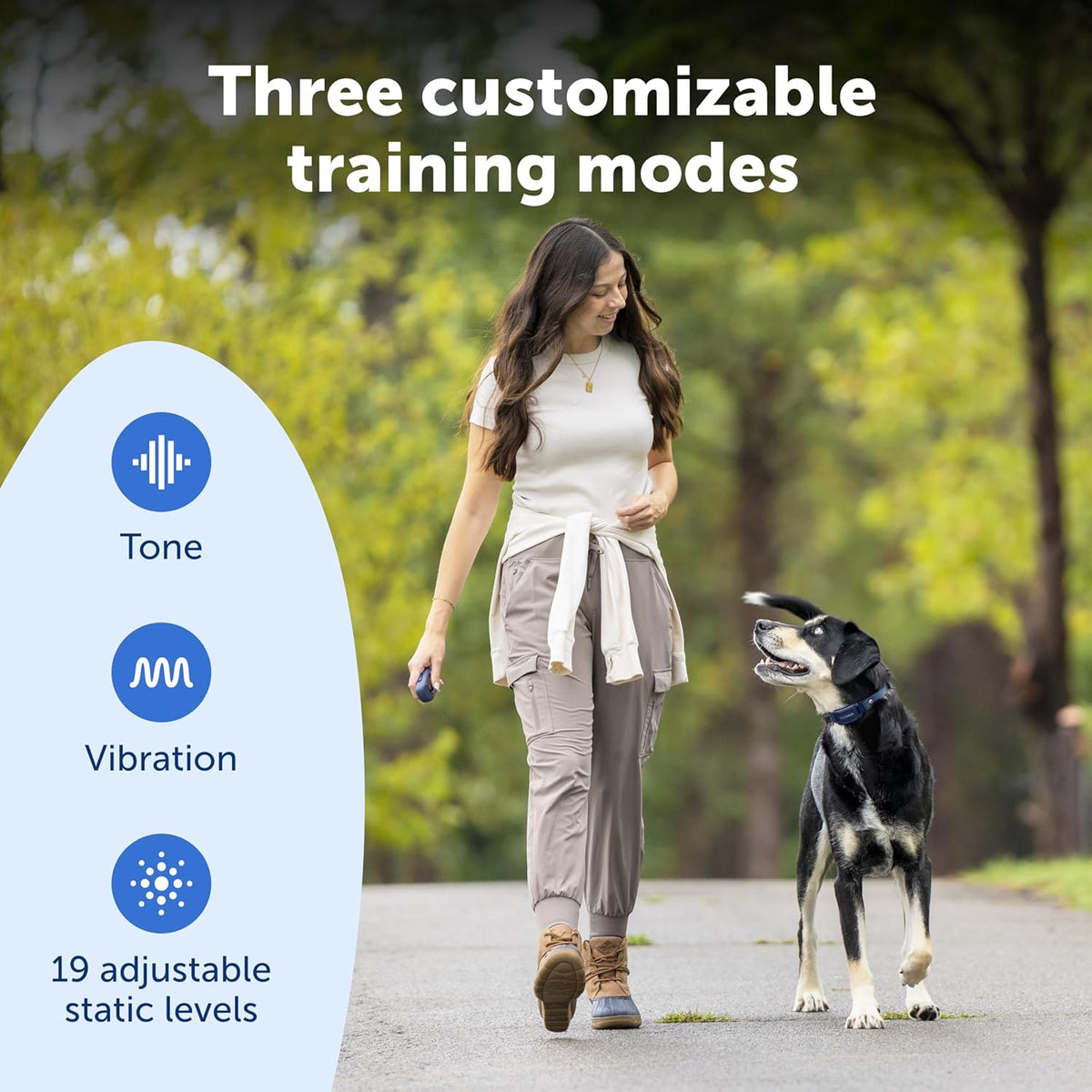 PetSafe Pro Dog Trainer with Remote, 1000 ft Range, Tone, Vibration & 19 Static Levels, Waterproof