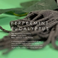 Peppermint Eucalyptus Reed Diffuser - BIG FRENCHIES