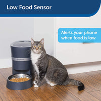 PetSafe Smart Feed Wi-Fi Automatic Dog and Cat Feeder PFD00-16828 with App Control and Low Food Alerts