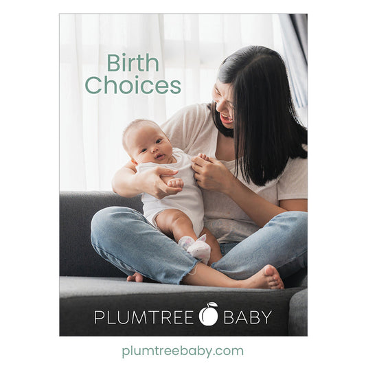 Birth Choices Booklet - BIG FRENCHIES