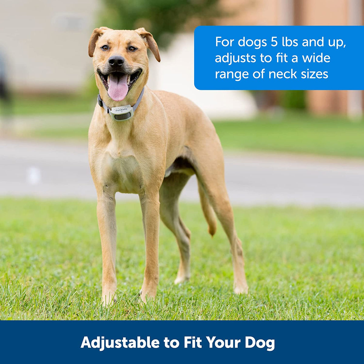 PetSafe Classic In-Ground Fence Receiver Collar, 8 Settings with Tone & Vibration, Rechargeable