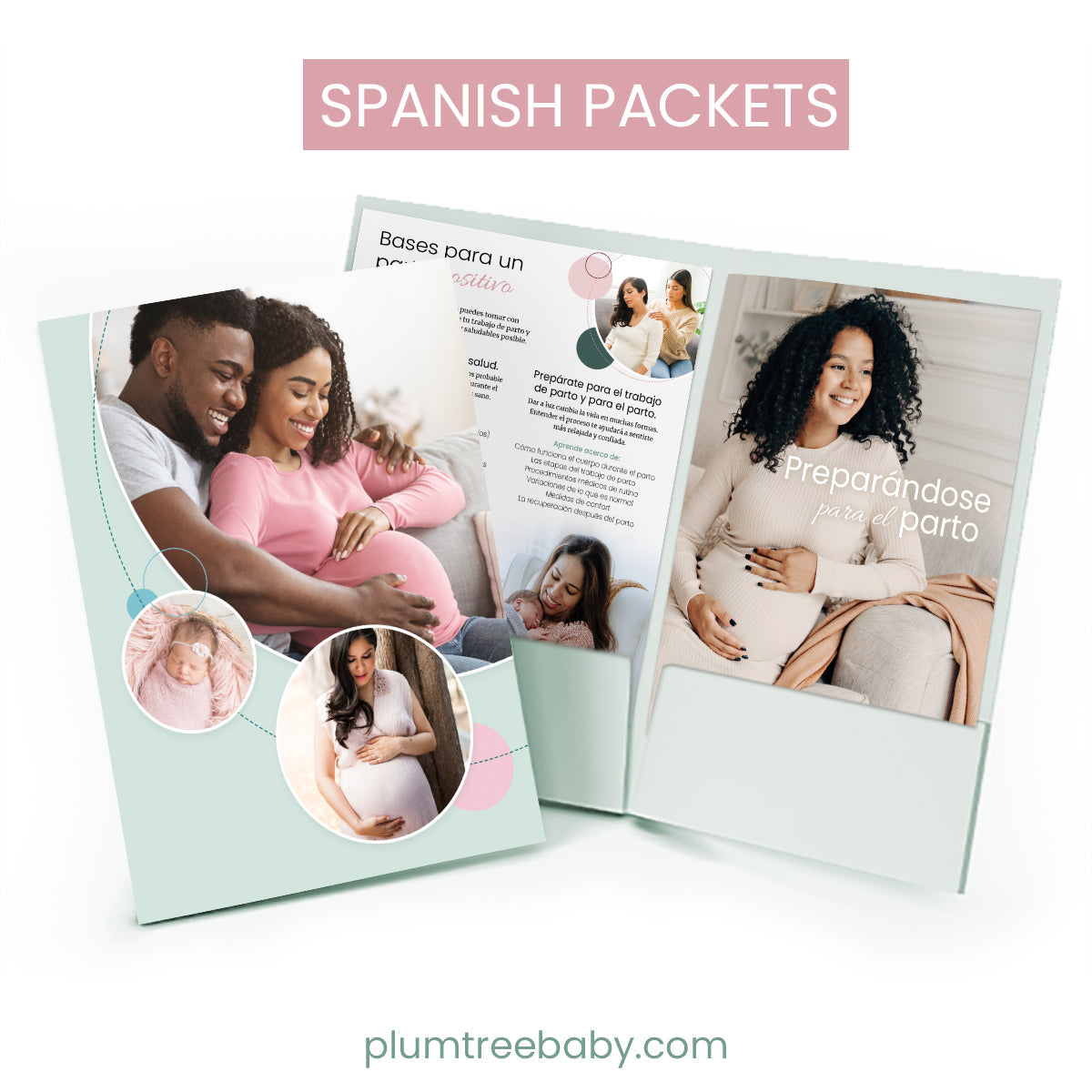 Labor and Birth Packets - BIG FRENCHIES