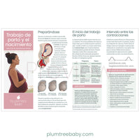 Prenatal Welcome Packets - BIG FRENCHIES