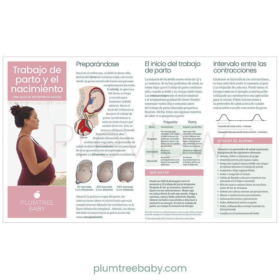 Prenatal Welcome Packets - BIG FRENCHIES