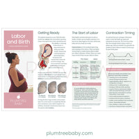 Prenatal Welcome Packets - BIG FRENCHIES