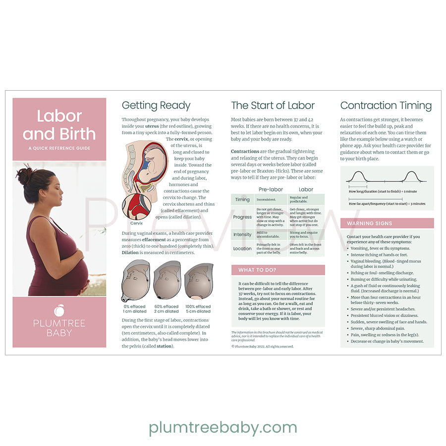 Prenatal Welcome Packets - BIG FRENCHIES