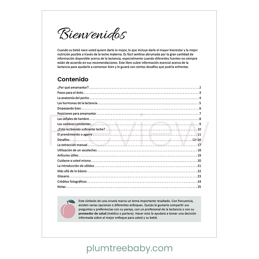 Breastfeeding Booklet - BIG FRENCHIES