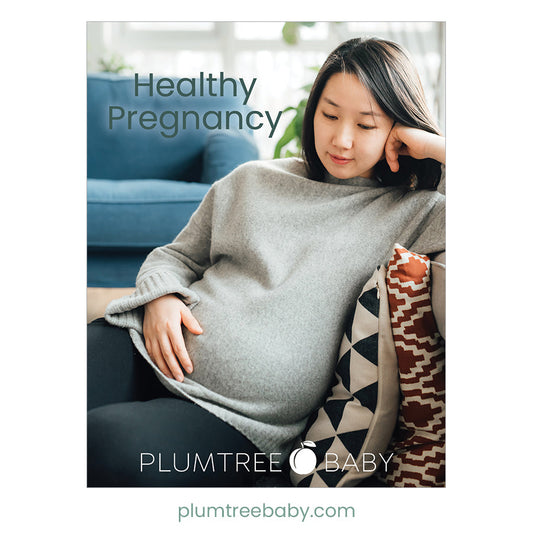 Healthy Pregnancy Booklet - BIG FRENCHIES