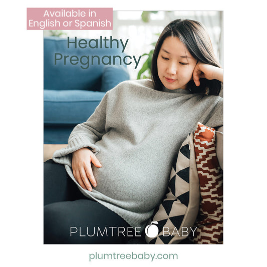Healthy Pregnancy Booklet - BIG FRENCHIES