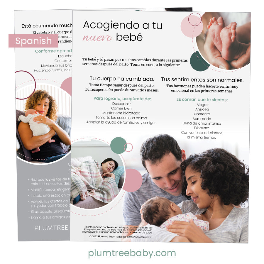 Postpartum and Baby Care Packets - BIG FRENCHIES