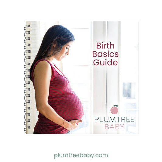 Birth Basics Pocket Guide - BIG FRENCHIES