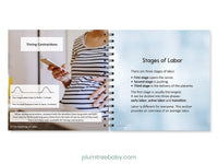 Birth Basics Pocket Guide - BIG FRENCHIES