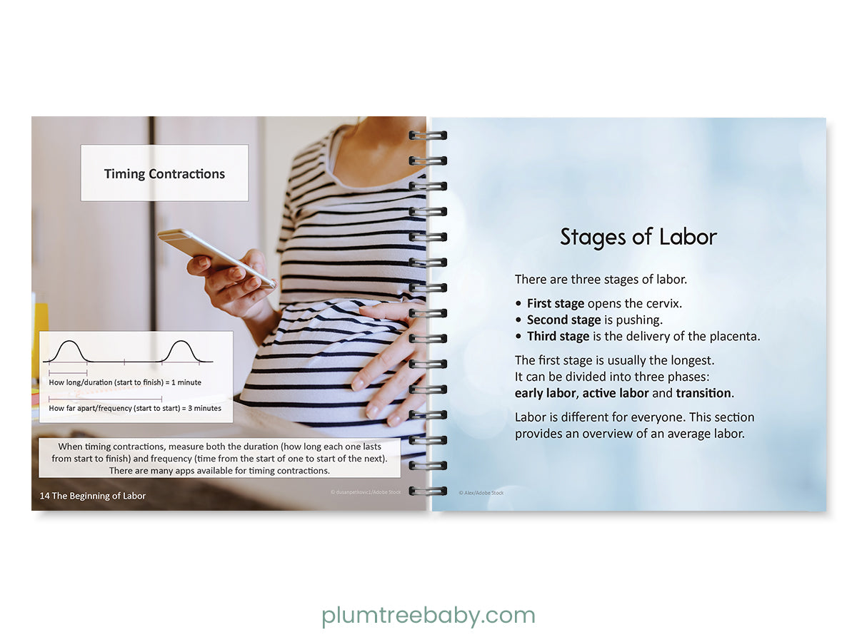 Birth Basics Pocket Guide - BIG FRENCHIES