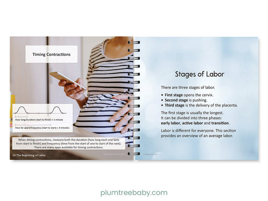 Birth Basics Pocket Guide - BIG FRENCHIES