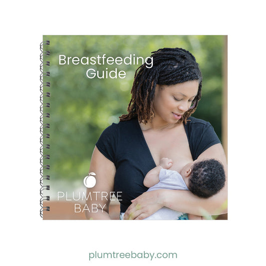 Breastfeeding Pocket Guide - BIG FRENCHIES