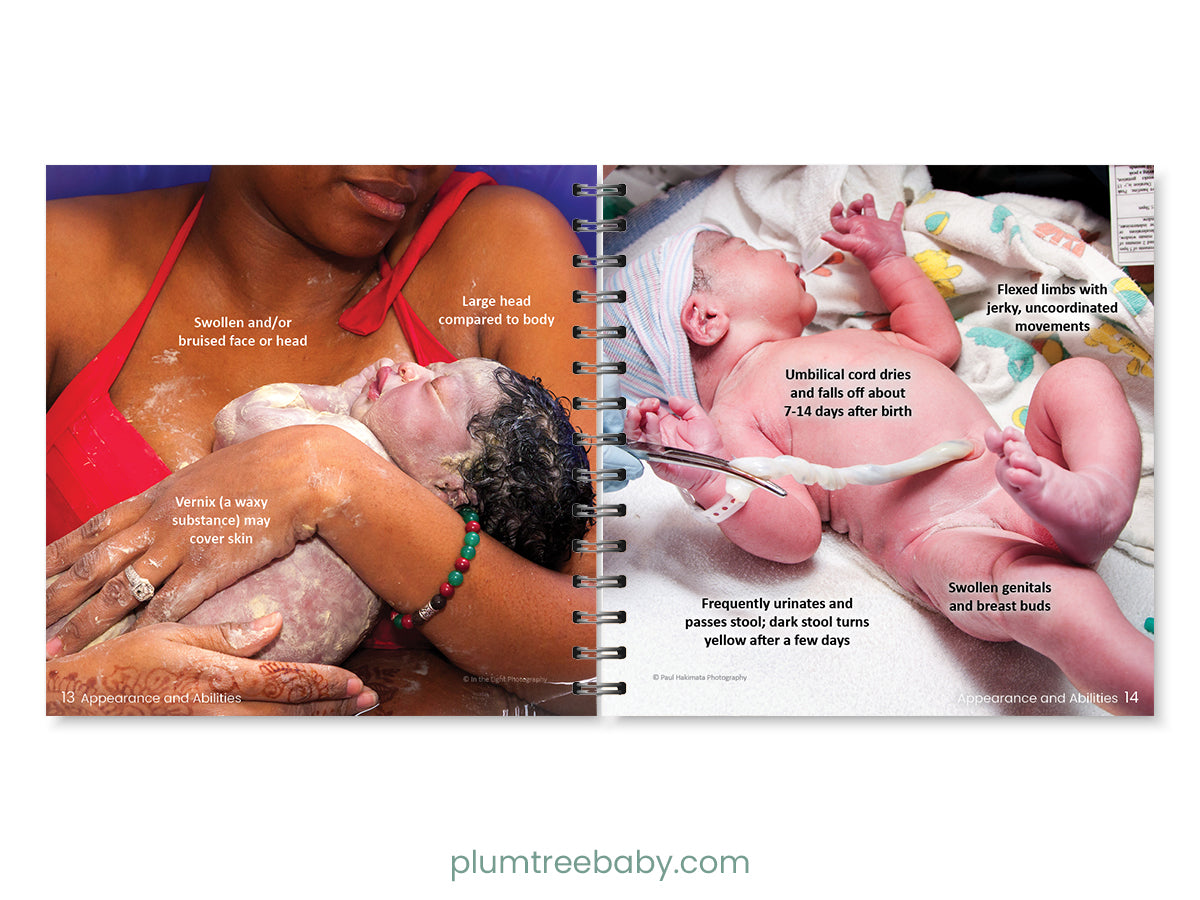 Newborn Pocket Guide - BIG FRENCHIES