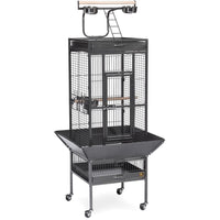 Prevue Pet Products Small Wrought Iron Select Bird Cage 3151 in Pewter, Play Top Cage with Caster Stand