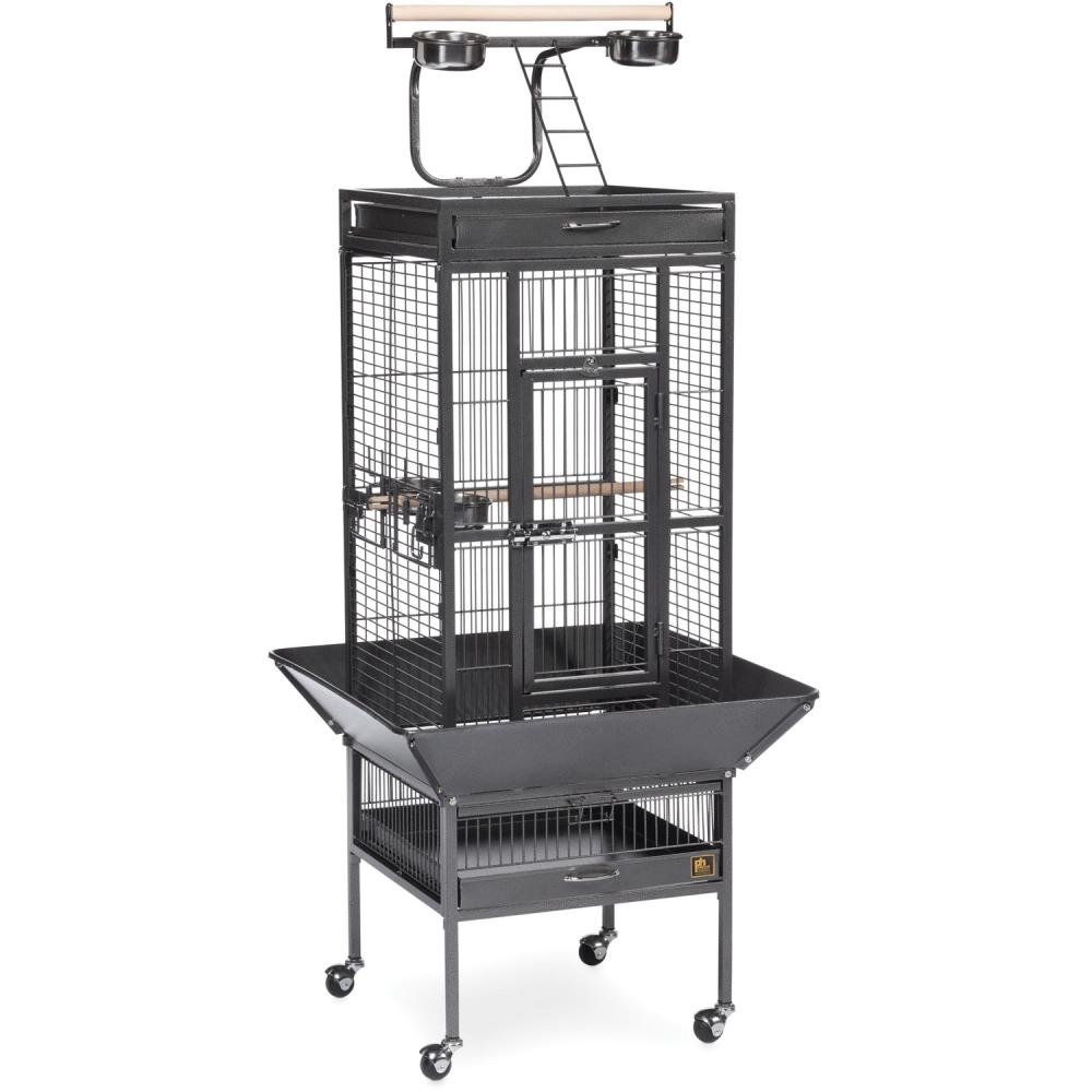 Prevue Pet Products Small Wrought Iron Select Bird Cage 3151 in Pewter, Play Top Cage with Caster Stand