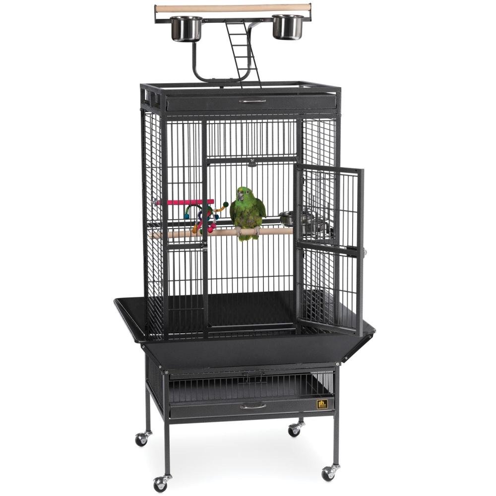 Prevue Pet Products Medium Wrought Iron Select Bird Cage 3152 in Pewter, Play Top Parrot and Cockatiel Cage
