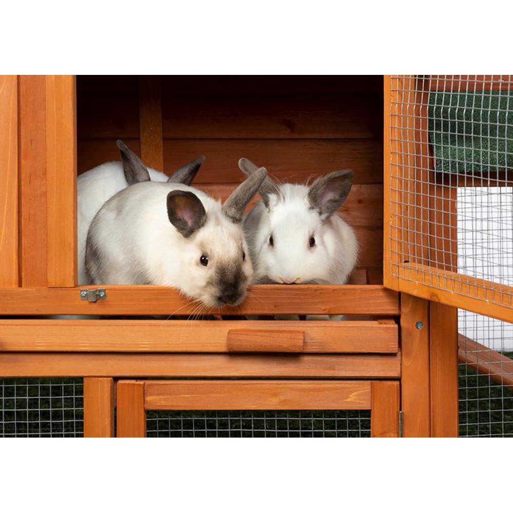 Prevue Pet Products 4600 Rabbit Hutch with Double Run, 7-Foot Indoor/Outdoor Hutch for 1 to 3 Small Rabbits