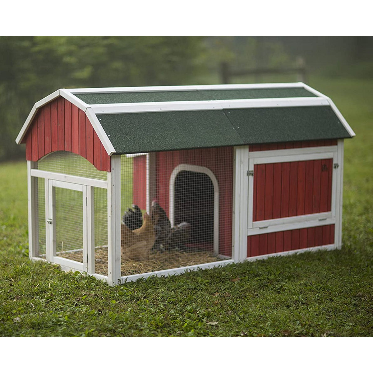 Prevue Pet Products 465 Barn Chicken Coop with Protected Run, Roosting Bars and 3-Slot Nest Box for 4 to 6 Hens
