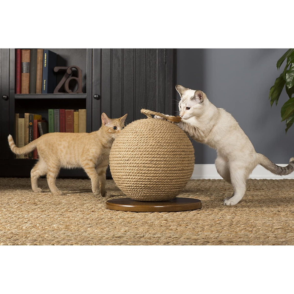 Prevue Pet Products Kitty Power Paws Sphere Scratching Post 7130 with Jute Ball and Feather Tassel