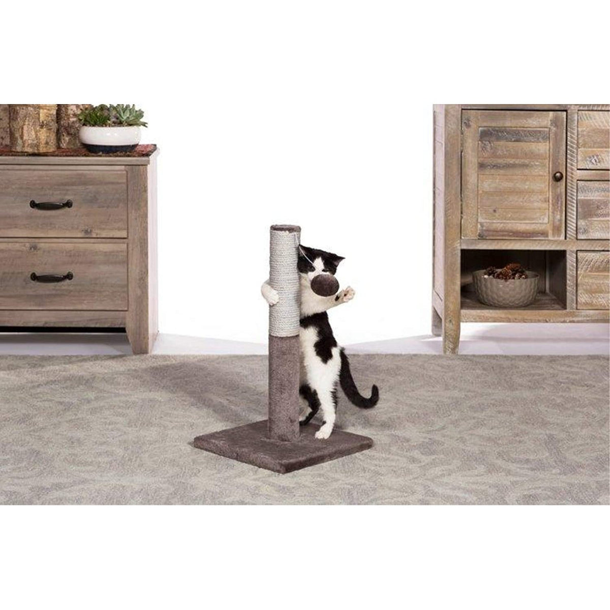 Prevue Pet Products Kitty Power Paws Play & Scratch 7151, 20.5" Jute Scratching Post with Puff Ball Toy