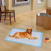 150  Pieces 24 x 36 Inch Pet Wee Pee Piddle Pad-S - Color: Light Blue - Size: S