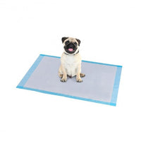 150  Pieces 24 x 36 Inch Pet Wee Pee Piddle Pad-S - Color: Light Blue - Size: S
