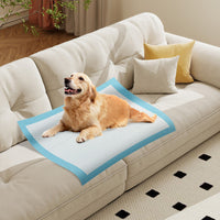 Dog and Puppy Pee Pads 36" x 36" (100 Counts) for Potty Training-Blue