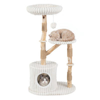 Solid Wood Cat Tree 41 Inch with Real Branches & Scratching Posts and Cozy Bed-Beige