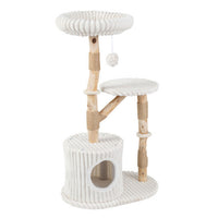 Solid Wood Cat Tree 41 Inch with Real Branches & Scratching Posts and Cozy Bed-Beige