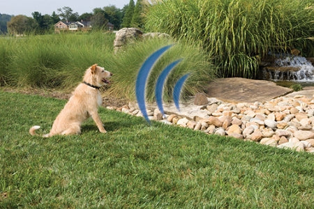 PetSafe Pawz Away Outdoor Pet Barrier PWF00-11923 - Rock-Style Wireless Transmitter and Receiver Collar