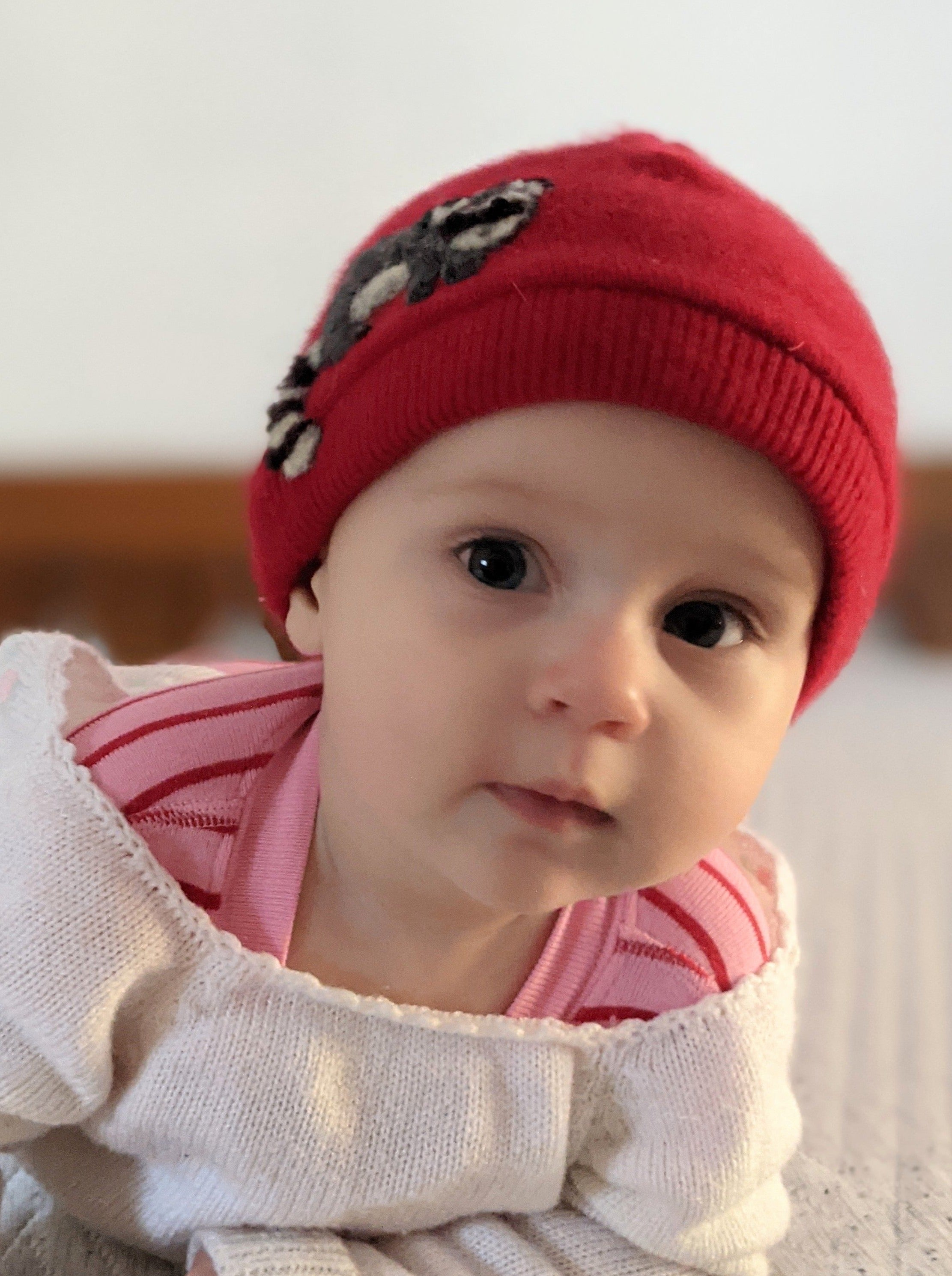 Raccoon Cashmere Hat - Baby - BIG FRENCHIES
