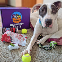 Good Dog Gift Box - BIG FRENCHIES