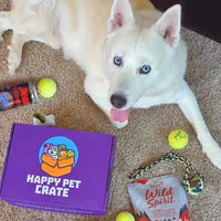 Good Dog Gift Box - BIG FRENCHIES