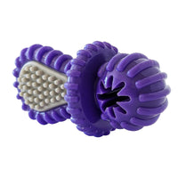 Purple Rubber Dental Pacifier Dog Toy – Ridges, Treat Hole & Durable Design - BIG FRENCHIES
