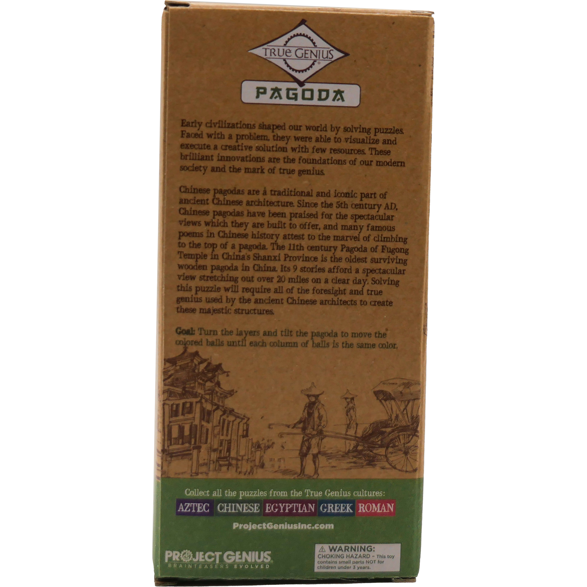 Pagoda Brainteaser Puzzle True Genius