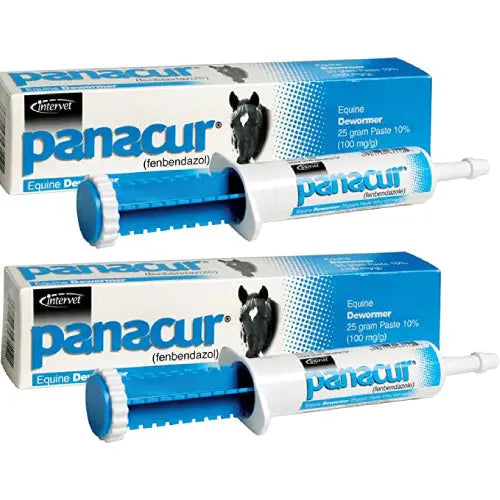 Panacur Equine Paste 10% Horse Wormer 100mg 2-Pack