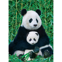 Panda & Baby 1000 Piece Jigsaw Puzzle Eurographics