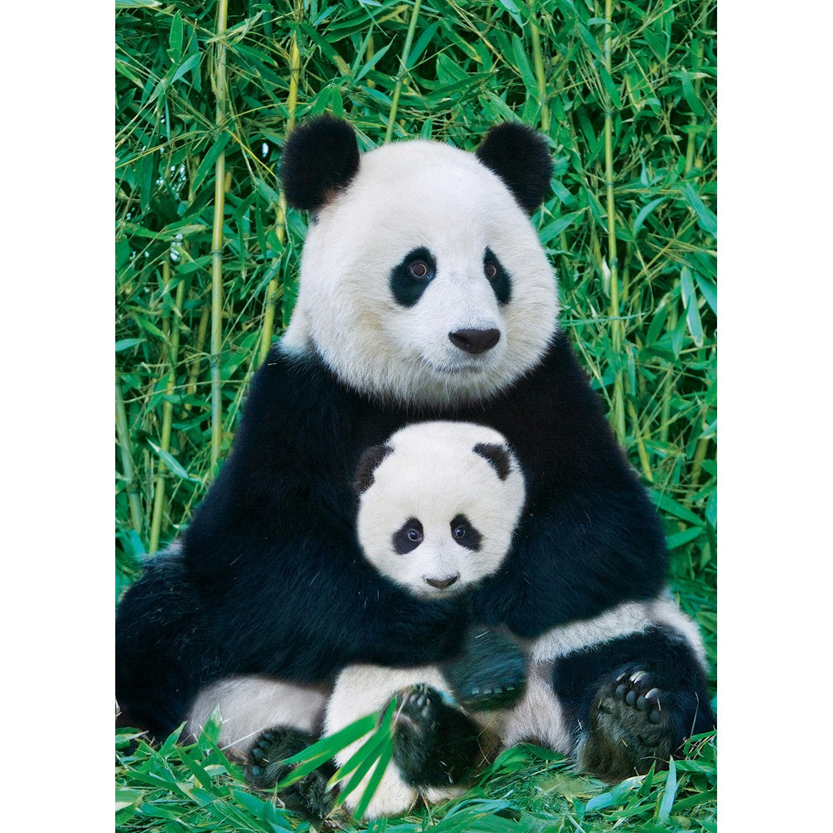 Panda & Baby 1000 Piece Jigsaw Puzzle Eurographics