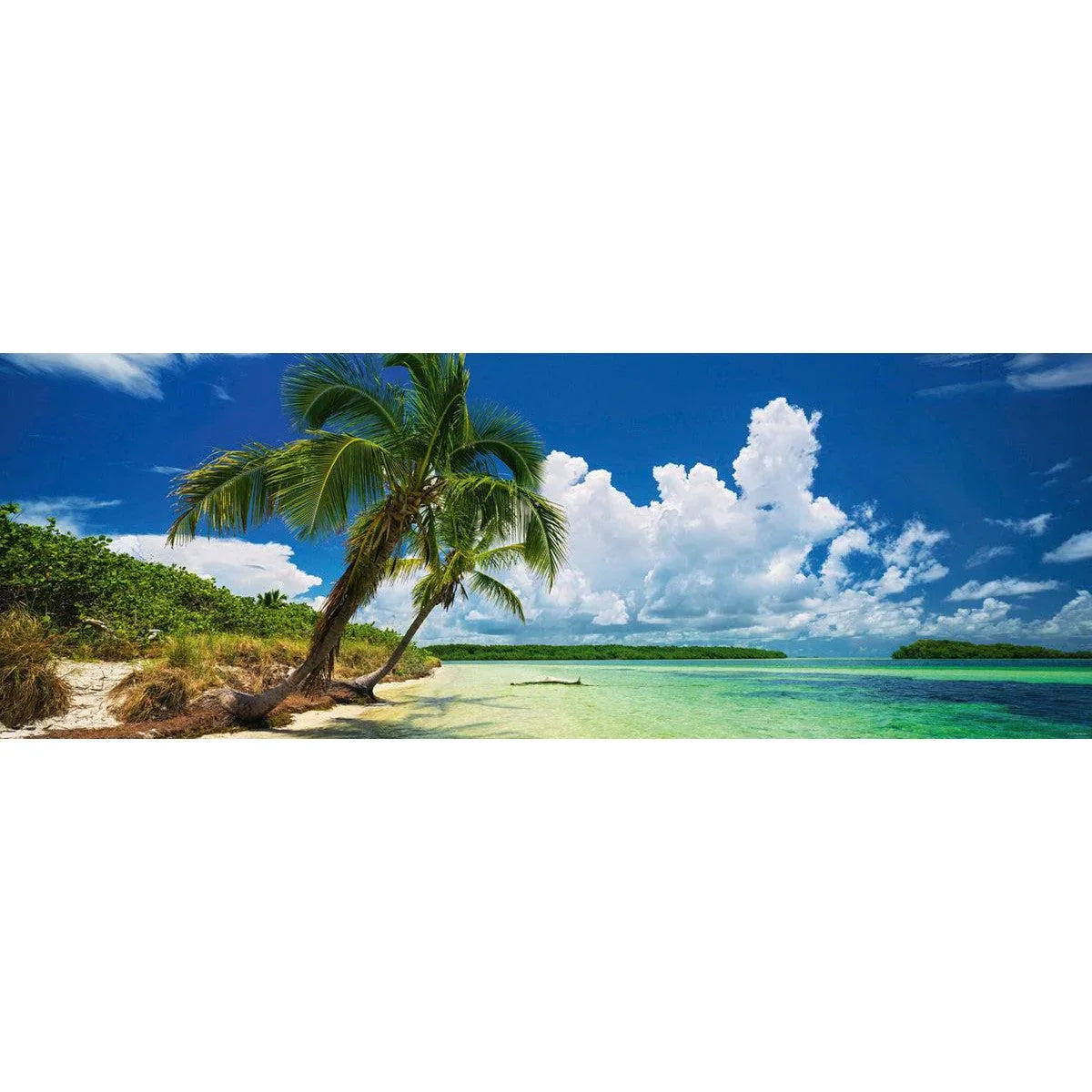 Paradise Palms 2000 Piece Panoramic Jigsaw Puzzle Heye - BIG FRENCHIES